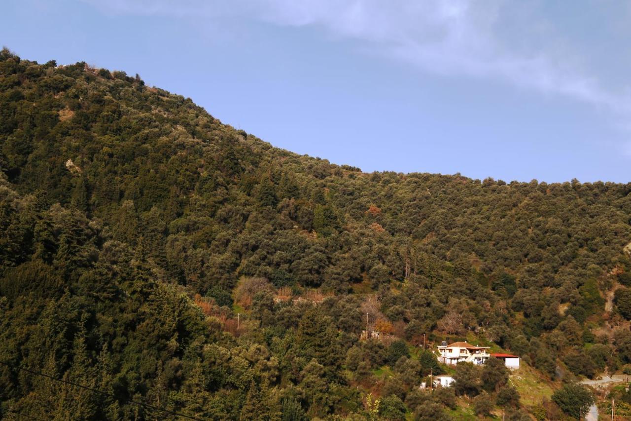 Villa Kleanthi'S House La Canea Exterior foto